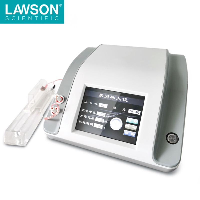 ����?q��)���x,늴��׃x,LAWSON-2C